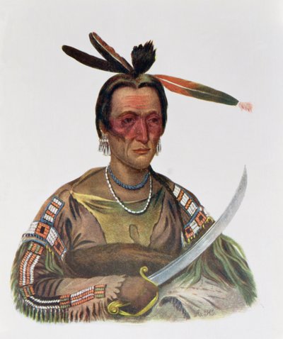 To-Ka-Cou, en Yankton Sioux Chief, 1837, illustration fra 