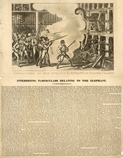 Ødelæggelse af den rasende elefant ved Exeter Change af George Cruikshank