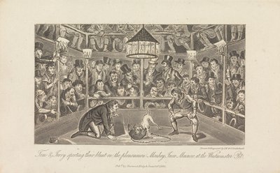 Tom & Jerry med deres stumpe... af George Cruikshank