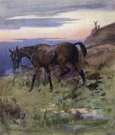 Illustration til historien om en kronhjort (farve litho) af George Denholm Armour