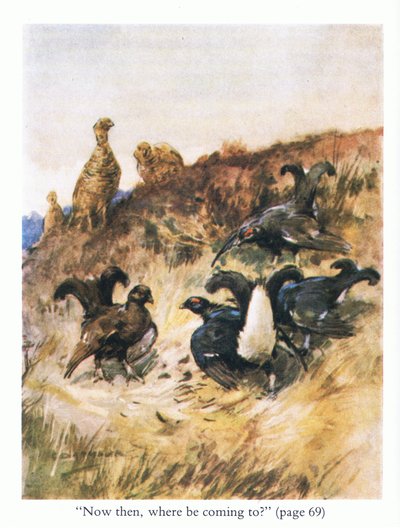 "Nu så, hvor kommer du hen?" (farve litho) af George Denholm Armour