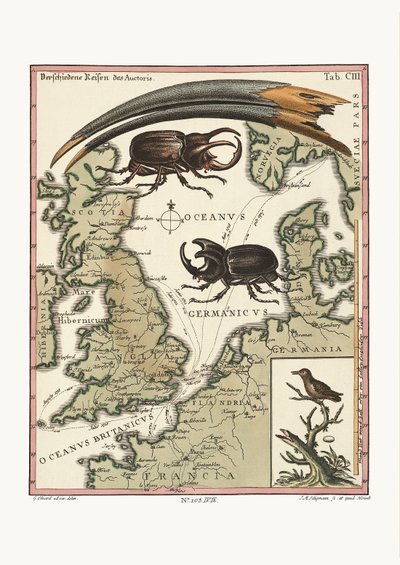 Den aegyptiske ibis og den mindste kolibri, 1749-73 af George Edwards