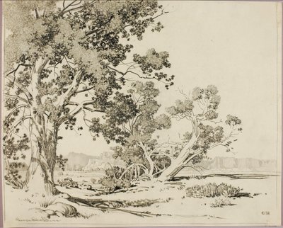 (Uden titel) af George Elbert Burr
