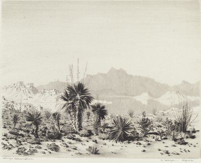 A Mirage, Arizona af George Elbert Burr