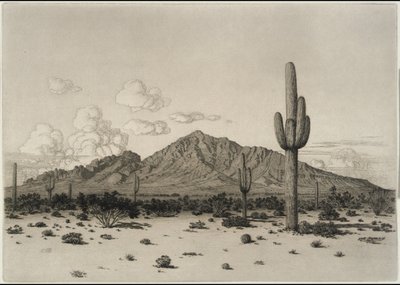 Camelback Mountain, Phoenix af George Elbert Burr