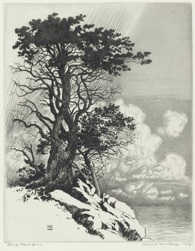 Kyst ved Monterey, Californien af George Elbert Burr