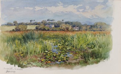 Criccieth, Nordwales af George Elbert Burr