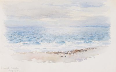 Criccieth, N. Wales, 1899. af George Elbert Burr