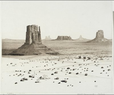 Ørkenmonumenter, Arizona af George Elbert Burr