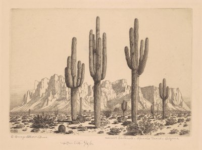 Desert Sentinels, Apache Trail, Arizona af George Elbert Burr