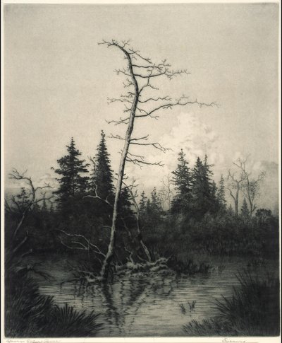 Aften af George Elbert Burr
