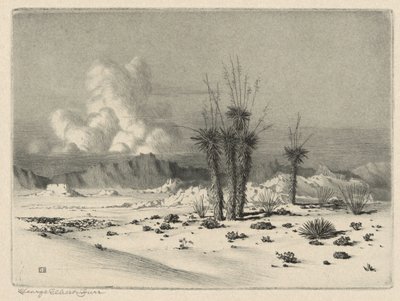 Aften, Arizona af George Elbert Burr
