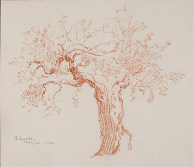 Fiesole af George Elbert Burr