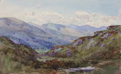 Fra oven Pont-y-Pant, 1899. af George Elbert Burr