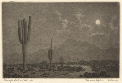 Moonlight-Phoenix af George Elbert Burr