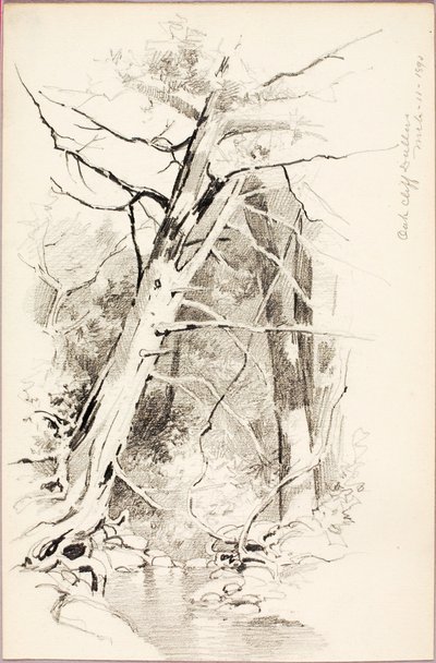 Oak Cliff, Dallas af George Elbert Burr