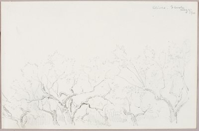 Oliven--Fiesole af George Elbert Burr