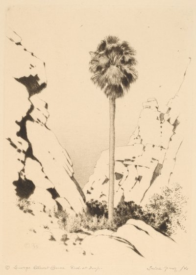 Palm Canyon (nr. 1) af George Elbert Burr