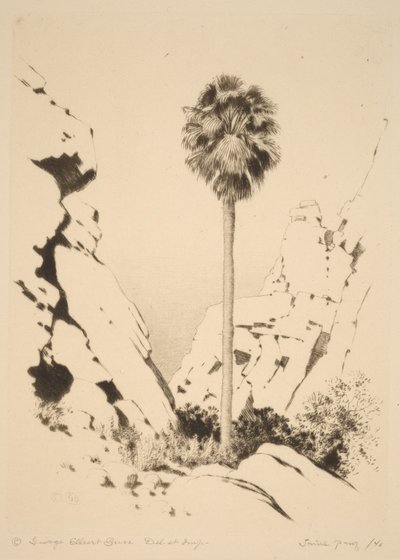  af George Elbert Burr