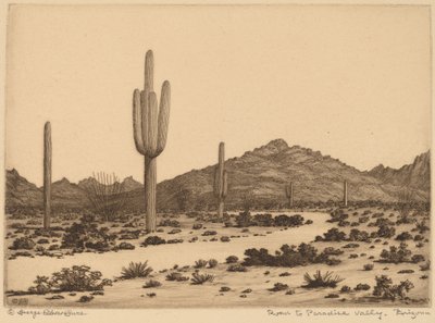 Vejen til Paradise Valley, Arizona af George Elbert Burr
