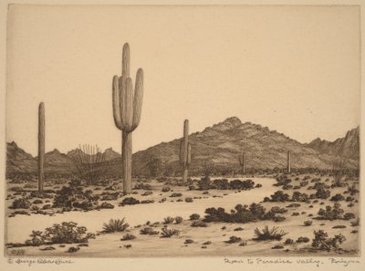 Vejen til Paradise Valley, Arizona af George Elbert Burr
