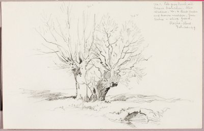 Roche Vaud af George Elbert Burr