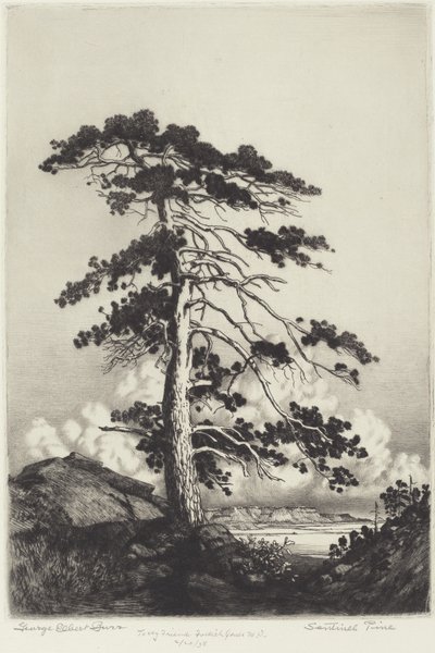 Sentinel Fyr af George Elbert Burr