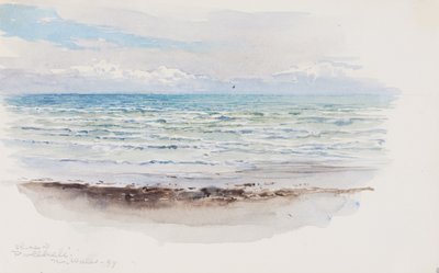 Kysten ved Pwllheli i det nordlige Wales af George Elbert Burr