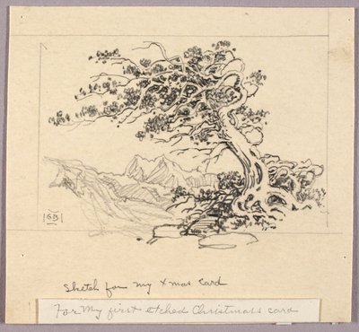 Skitse til julekort (Windswept Pine [nr. 1]) af George Elbert Burr