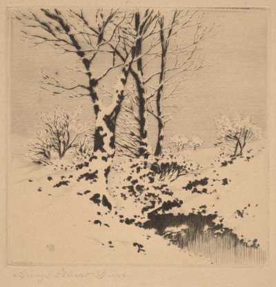 Sne af George Elbert Burr