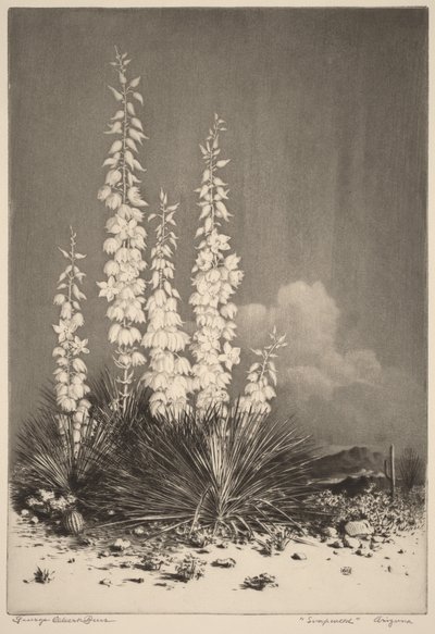  af George Elbert Burr