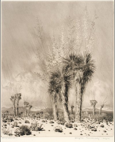 Forår, Paradise Valley, Arizona af George Elbert Burr
