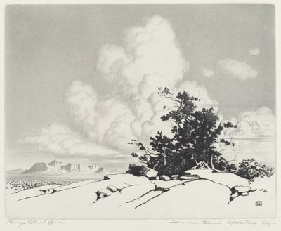 Summer Cloud, Apache Trail, Arizona af George Elbert Burr