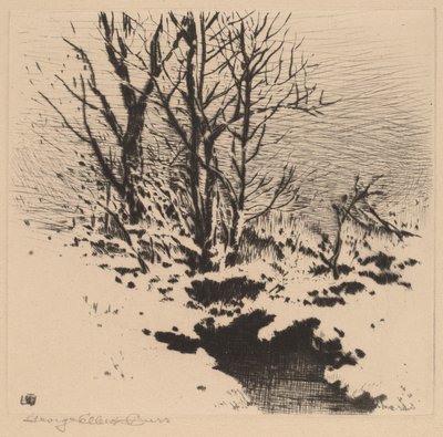 Den første sne (nr. 2) af George Elbert Burr