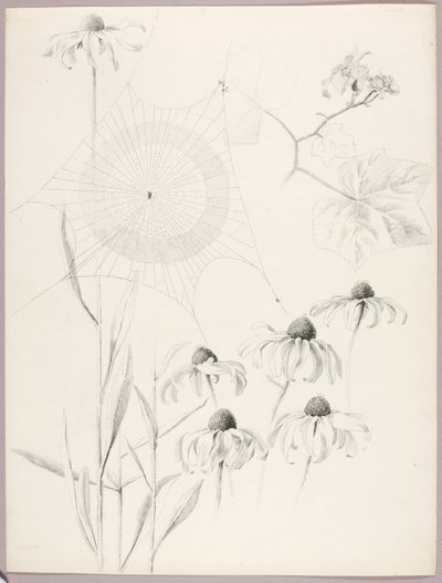 Uden titel (Spindelvæv og tusindfryd) af George Elbert Burr