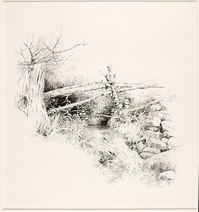 Uden titel (Woodland Stream) af George Elbert Burr