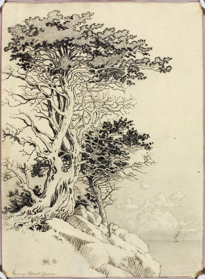 Uden titel (tegning til tryk) af George Elbert Burr