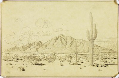 Uden titel (overføringstegning til Camelback Mountain, Phoenix) af George Elbert Burr