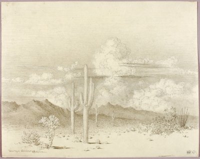 Uden titel (overføringstegning til Aften, Paradise Valley, Arizona) af George Elbert Burr