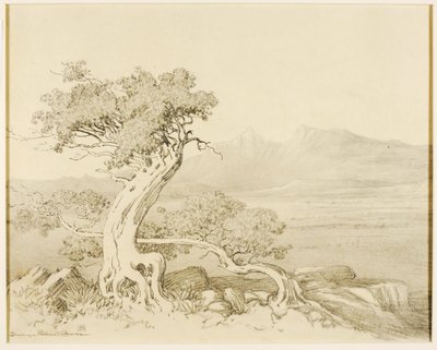 Uden titel (overføringstegning til Old Cedars og Spanish Peaks) af George Elbert Burr