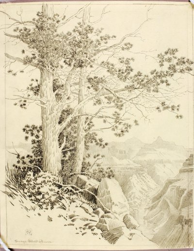 Uden titel (overføringstegning til tryk) af George Elbert Burr