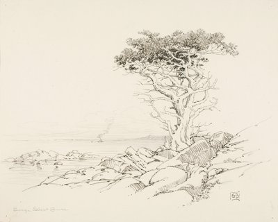 Uden titel af George Elbert Burr