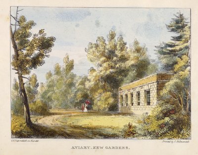 Aviary, Kew Gardens, plade 10 fra Kew Gardens: A Series of Twenty-Four Drawings on Stone, indgraveret af Charles Hullmandel (1789-1850) udgivet 1820 (håndkoloreret litho) af George Ernest after Papendiek