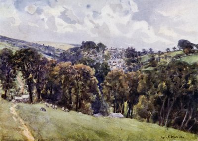Camelford (farve litho) af George Franck Nicholls