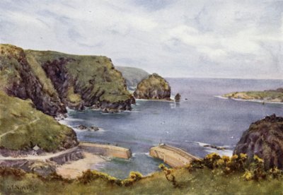 Mullion Covedani af George Franck Nicholls
