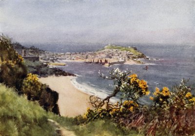 St Ivesdani af George Franck Nicholls