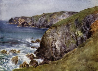 Kysten nær firben (farve litho) af George Franck Nicholls