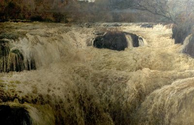 Salmon Leap, Cenarth Falls, Cardiganshire, Wales, 1878 af George Frank Miles