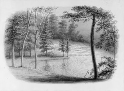A Brook fra Hosack Album,. af George Harvey