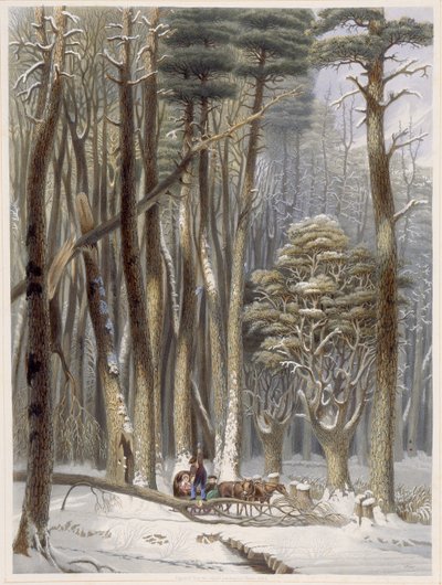 Winter, Impeded Traveler in a Pine Forest, fra Harveys Scenes of the Primitive Forest of America, 1841 (håndfarvet akvatint) af George Harvey